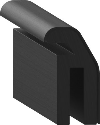Cross-section of FL-006